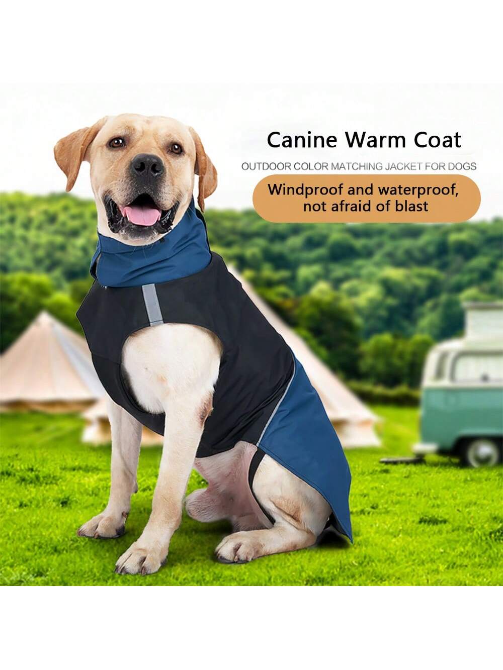 Windproof Waterproof Dog Warm  - Outdoor Camping Vest ulasan dan harga
