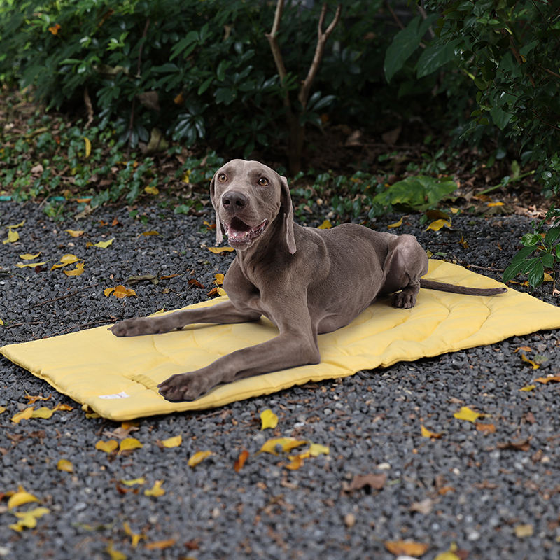 Portable Pet Mat Foldable Pet  - Outdoor Camping Dog Kennel ulasan dan harga