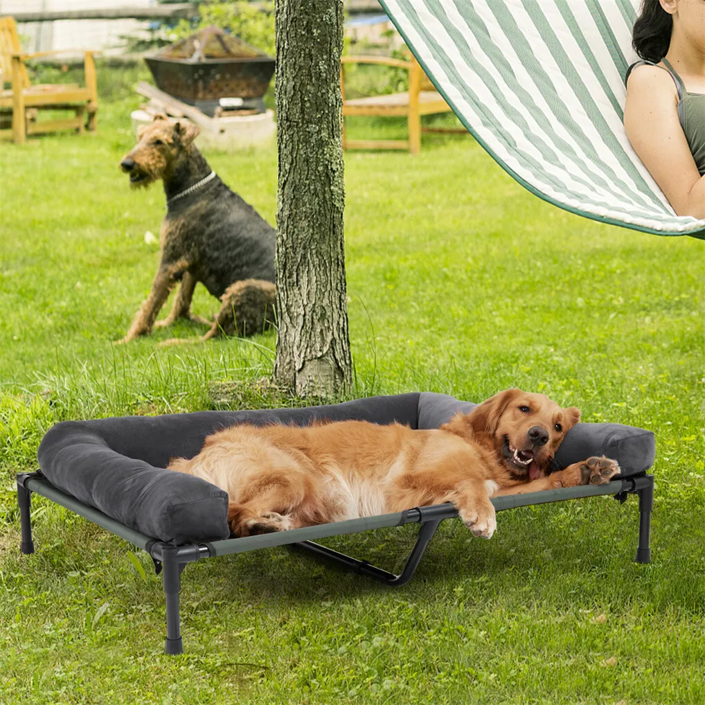 BINGOPAW Outdoor Dog Bed Eleva - Outdoor Camping Cot ulasan dan harga