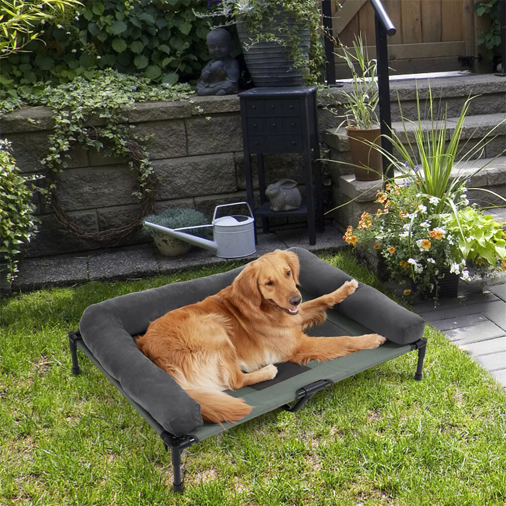 BINGOPAW Outdoor Dog Bed Eleva - Outdoor Camping Cot ulasan dan harga