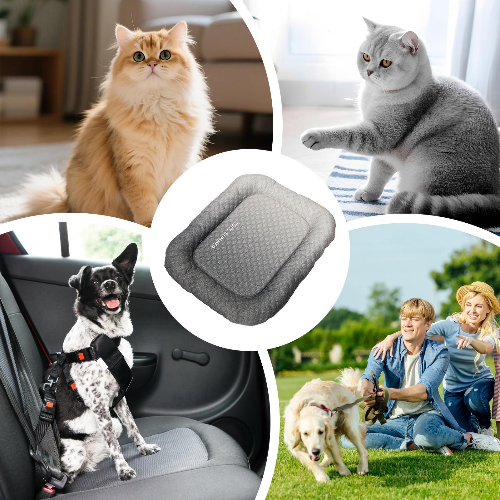 Dog Cooling Mat Portable Non-S - Outdoor Camping Dog Kennel ulasan dan harga